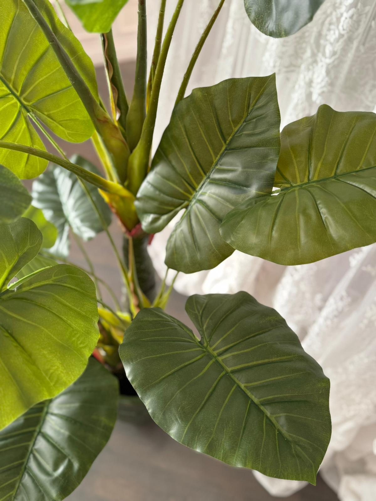 Alocasia artificiale con vaso in plastica - H.160 cm - Belda - Foto 3